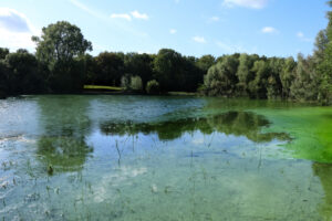 Gekippter See