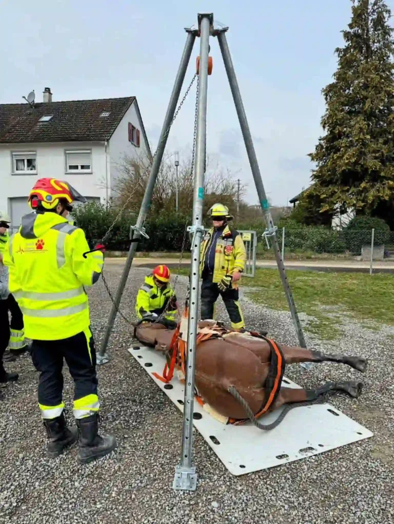 Dreibock Bautri zum Heben eines Pferdes